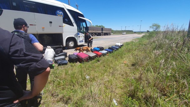 cao efetua busca entre as malas