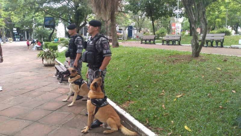 Operação Parabellum