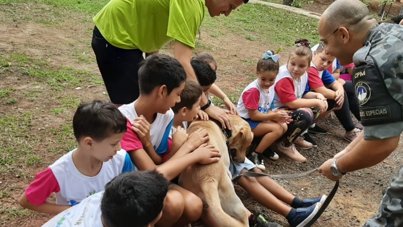 Apresentação Canil 15º BPM