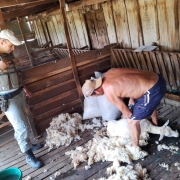 Patrulhas Comunitárias do Interior