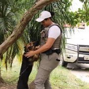 BM de Viamão ajuda a encontrar cachorros perdidos e recebe o carinho e reconhecimento da família proprietária