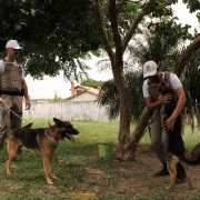 BM de Viamão ajuda a encontrar cachorros perdidos e recebe o carinho e reconhecimento da família proprietária