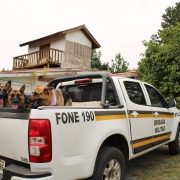 BM de Viamão ajuda a encontrar cachorros perdidos e recebe o carinho e reconhecimento da família proprietária