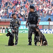 A imagem mostra pai e filho fardado, ambos com seus cães policiais um adulto e outro filhote