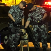 PMs e o cão