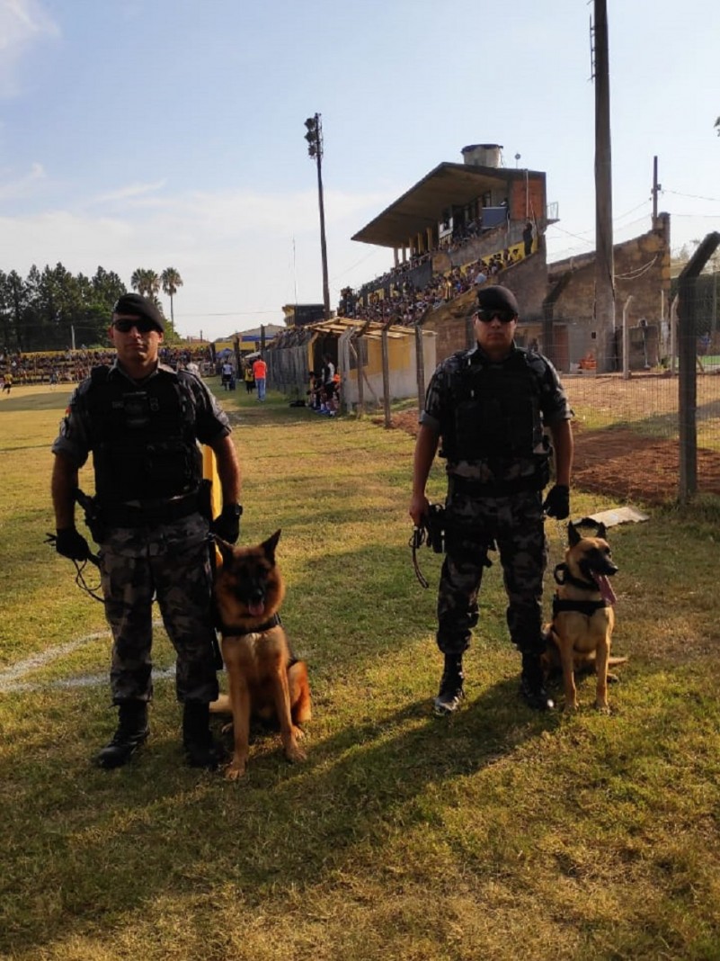 PMs com os cães