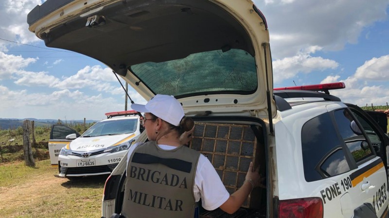 Brigada Militar prende homem por crime contra a fauna silvestre em Canguçu