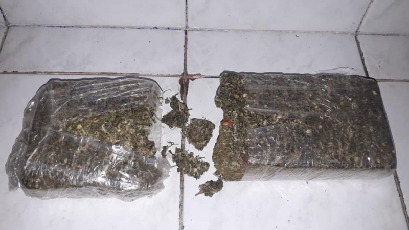PATAMO apreende mais de meio kilo de maconha em Santa Maria 