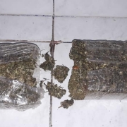 PATAMO apreende mais de meio kilo de maconha em Santa Maria