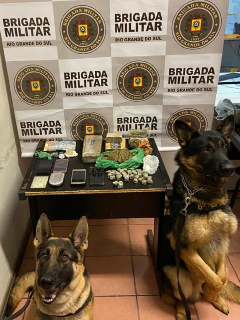 Canil do 8&ordm; BPM participou da Opera&ccedil;&atilde;o