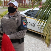 Operação Marias no Litoral Norte