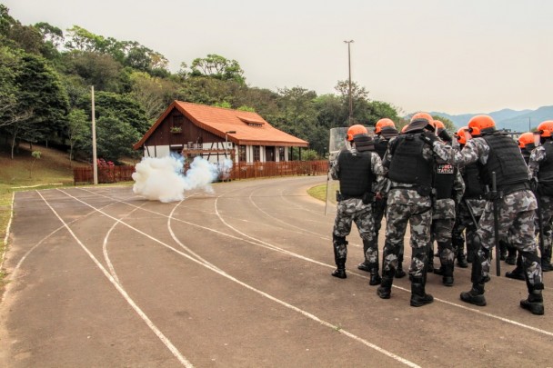 Pelotão