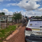 policiais trabalhando em conjunto