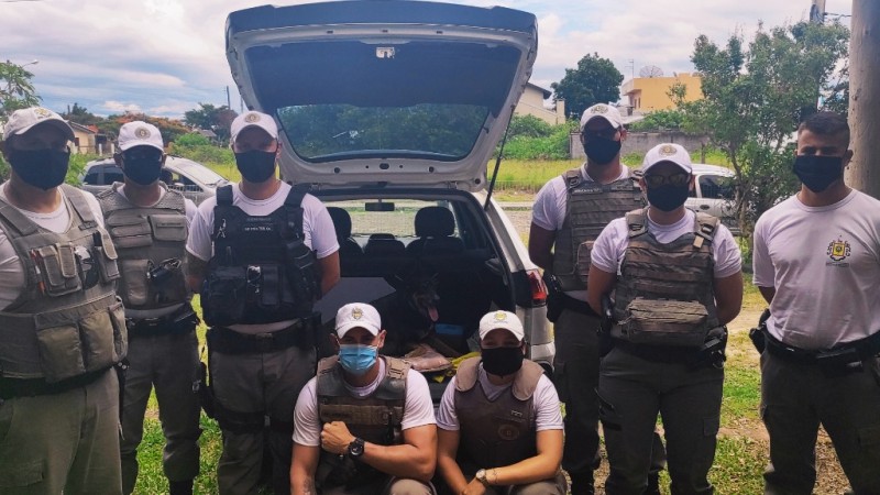 Policias Militares, durante Operação Golfinho, salvam cão atropelado