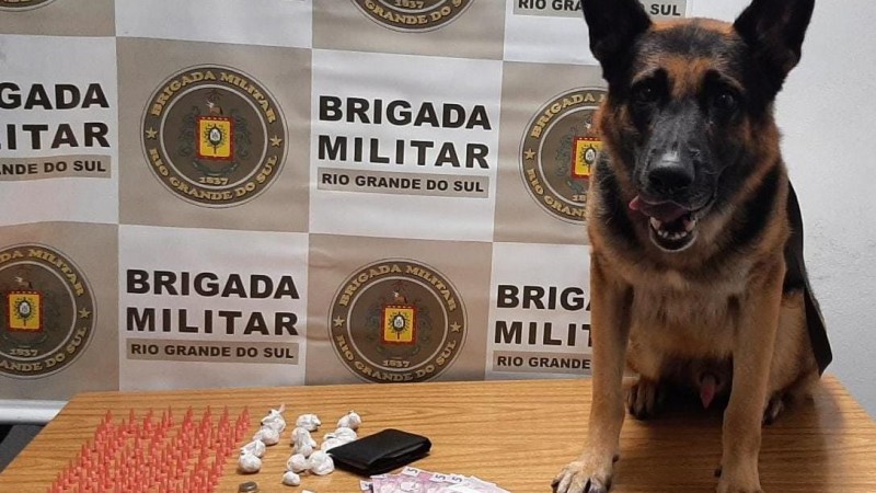 Prisão por tráfico de entorpecentes com ajuda de cão policial