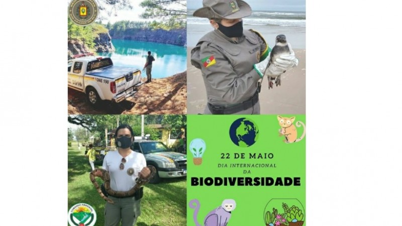 DIA DA BIODIVERSIDADE
