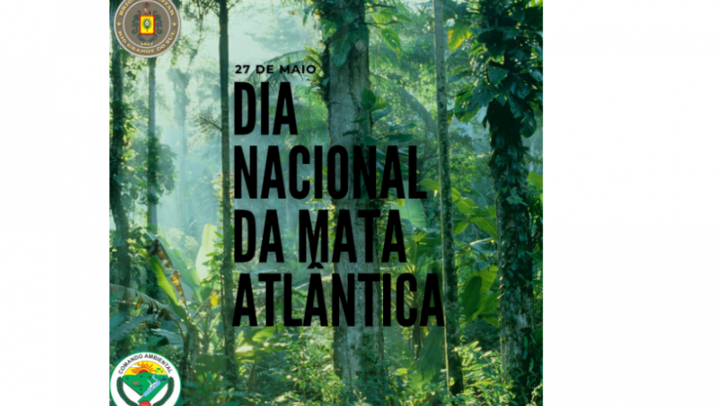 dia da mata atlântica