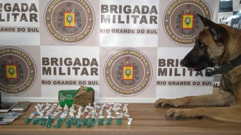 c&atilde;o de faro com drogas apreendidas