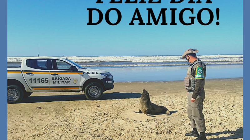 Feliz dia do amigo!