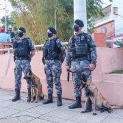 guarnição do canil