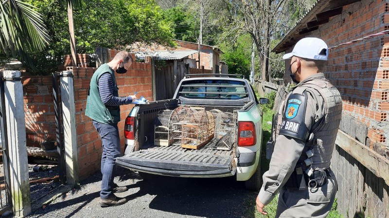 Apreensão de animais