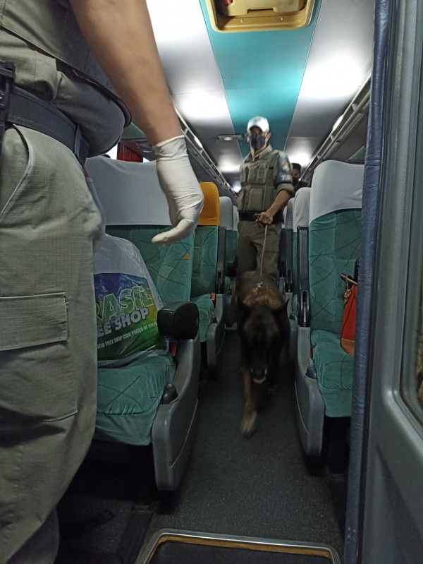 Atuação c cão