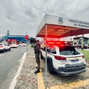 Hoplitas no Litoral Norte