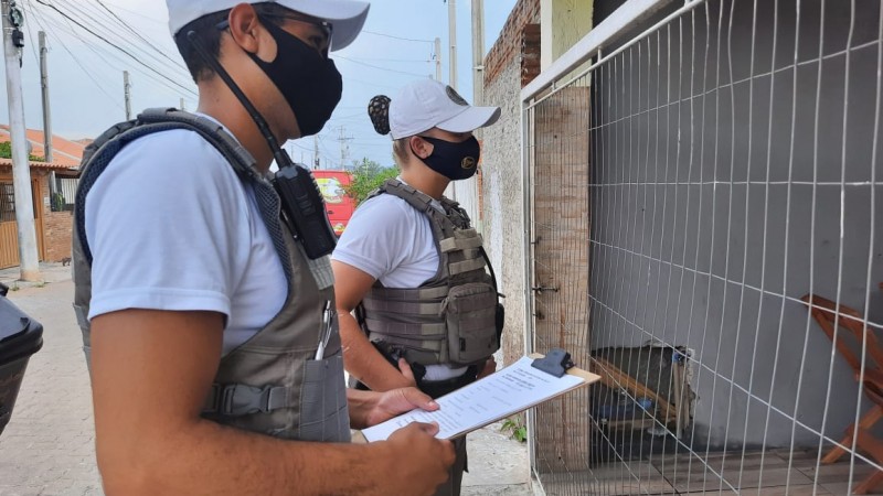 Patrulha Maria da Penha do 26º BPM atendeu 355 vítimas de violência doméstica em 2021.