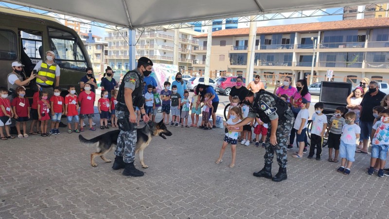 Atividade com cães