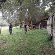 Batalhão de Polícia de Choque