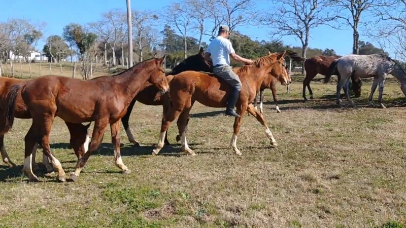 Homenagem Tenente munhoz Reserva Remunerada