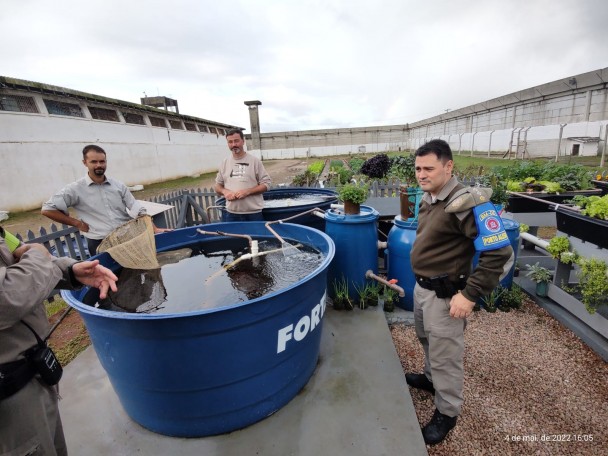 espaço para horticultura