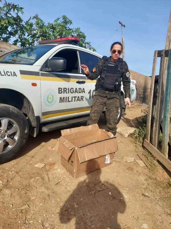 PATRAM de Porto Alegre realizou o resgate de Corujas, no bairro Sarandi.