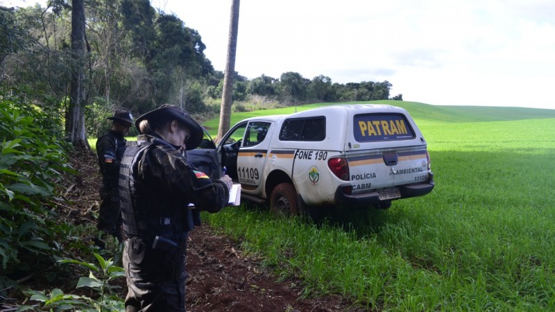 PATRAM de Frederico Westphalen constata crime de desmatamento em Seberi
