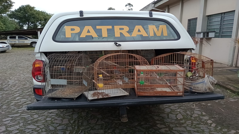 Pássaros silvestres apreendidos pela PATRAM do 1°BABM