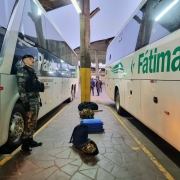 Operação Narco Brasil