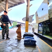 Operação Narco Brasil 