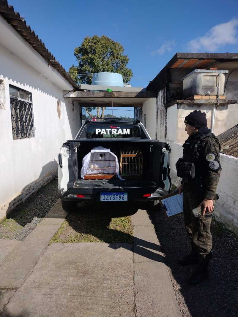 Apreensão de pássaros silvestres em Porto Alegre