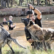 Instrução do Canil do 15º BPM para Alunos do Estágio de Adestramento e Emprego de Cães de Guerra do 3º BPE 17