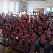 formatura PROERD 3º ANO (10)