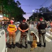 A Brigada Militar, através do 23º Batalhão de Polícia Militar (23º BPM), na tarde e no início da noite de quarta-feira (21/12), deflagrou mais uma edição da Operação Plano Tático Operacional. 
