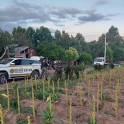 Na tarde de quinta-feira (19/1), às 17h20, a Brigada Militar do 23º BPM deu início a uma ação policial que resultou na prisão de três homens de 19, 27 e 40 anos, após realizarem um roubo a um estabelecimento comercial na localidade de Santa Emília no município de Venâncio Aires. 