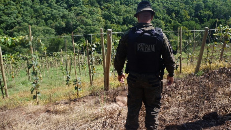 3° BABM crime contra flora na cidade de Planalto