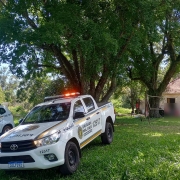 Brigada Militar realiza “Operação GAIA” nos municípios de Portão e Capela de Santana