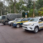 Canil do CRPO/VRS/3º BPM participa da Operação Integrada denominada Cérbero II