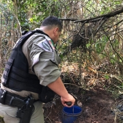 BM apreende mais de 70 armas em Santo Antônio da Patrulha