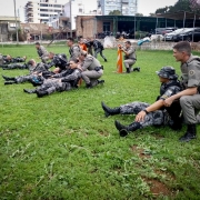 APH C1
