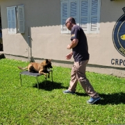 Soldado César e a cachorra Maya