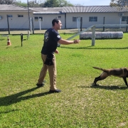 Soldado Castro e o cão Taz