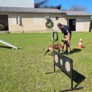 Soldado Castro e o cão Taz